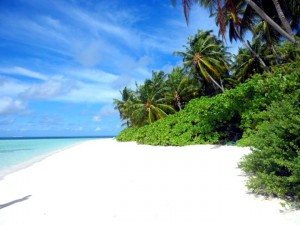 last minute web maldive